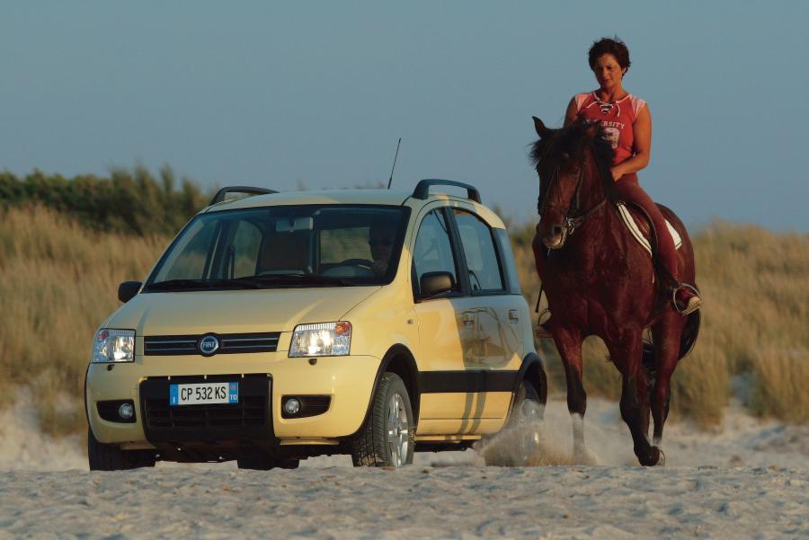  Fiat Panda 4x4 2005 года  (фото 67 из 76)